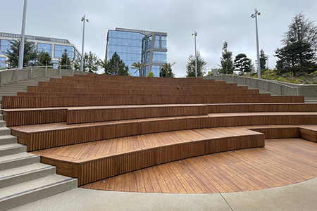 dassoXTR Fused Bamboo Epic Cognac 
1x6 Decking, 5/4x4 Lumber 